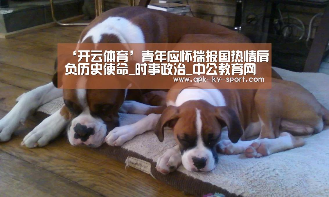 ‘开云体育’青年应怀揣报国热情肩负历史使命_时事政治_中公教育网(图2) 开云